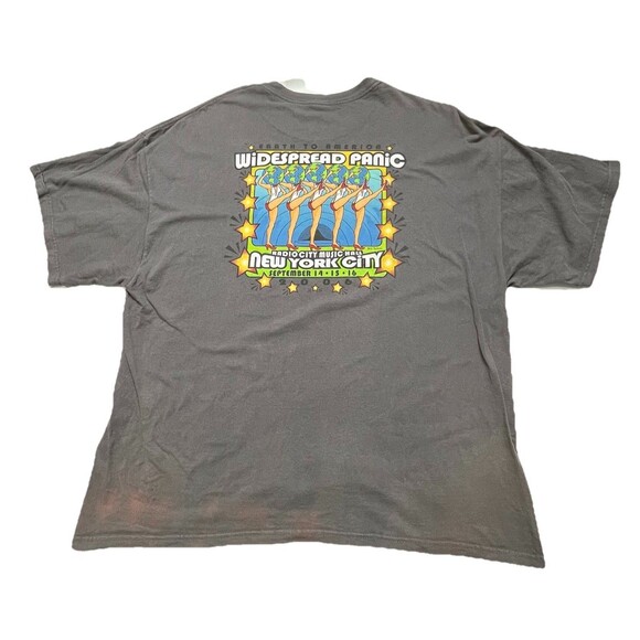 Widespread Panic Earth to America Vintage 06 Concert Radio City 2X Rare! - Picture 6 of 14